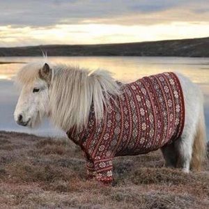 Meet your Posher, Caitlin